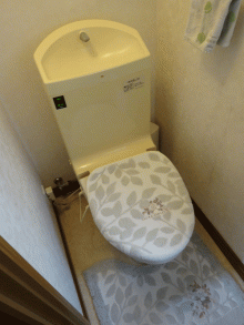 シック＆モダンのラグジュアリートイレに大変身　目黒区M様邸